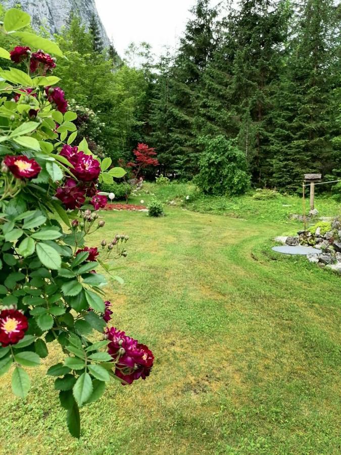 Haus Waldbach Villa Hallstatt Dış mekan fotoğraf