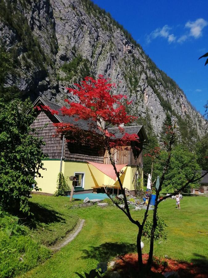 Haus Waldbach Villa Hallstatt Dış mekan fotoğraf