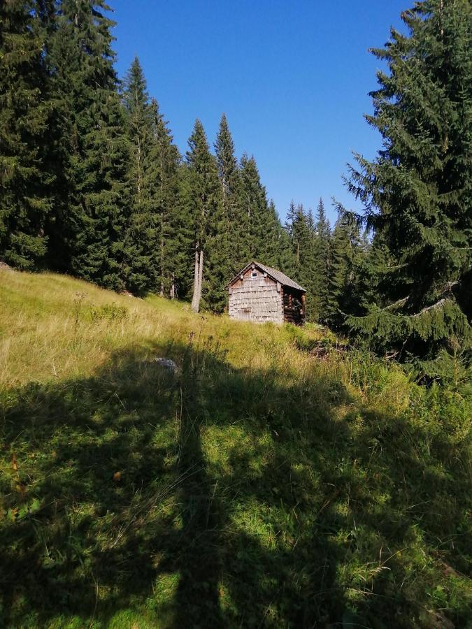 Haus Waldbach Villa Hallstatt Dış mekan fotoğraf