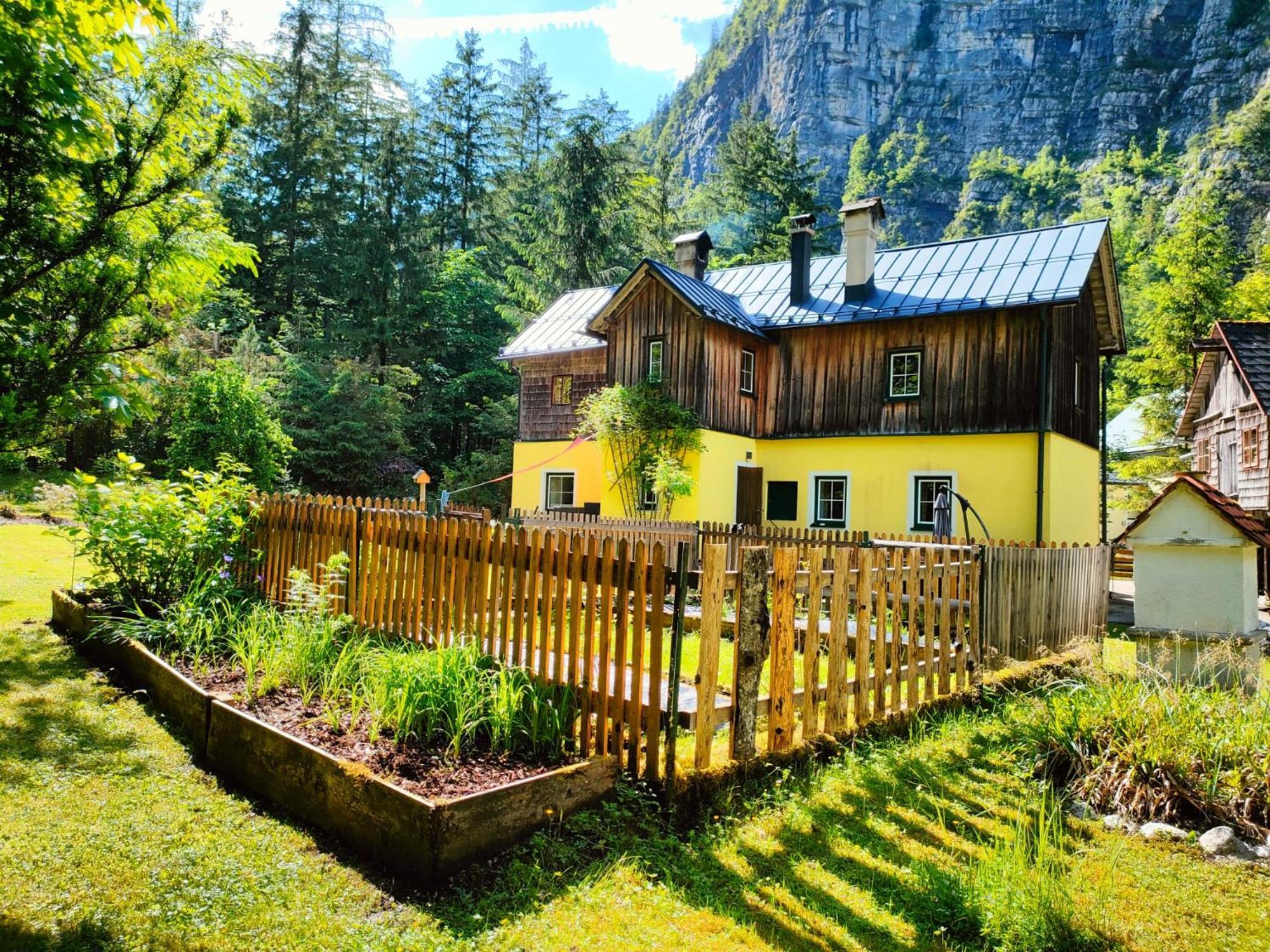 Haus Waldbach Villa Hallstatt Dış mekan fotoğraf