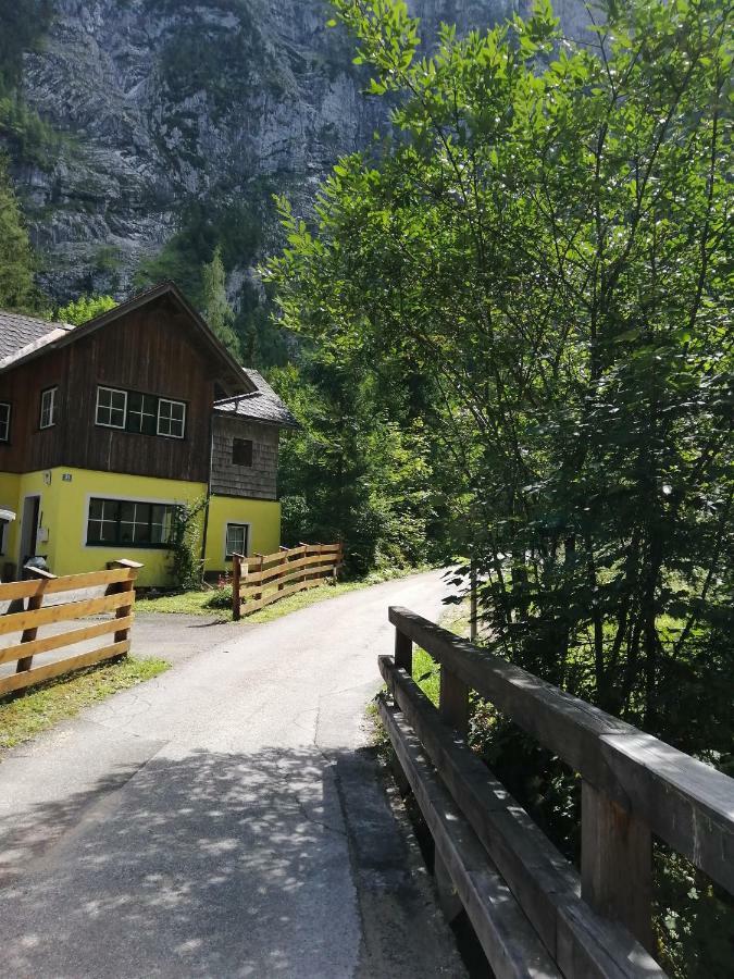 Haus Waldbach Villa Hallstatt Dış mekan fotoğraf