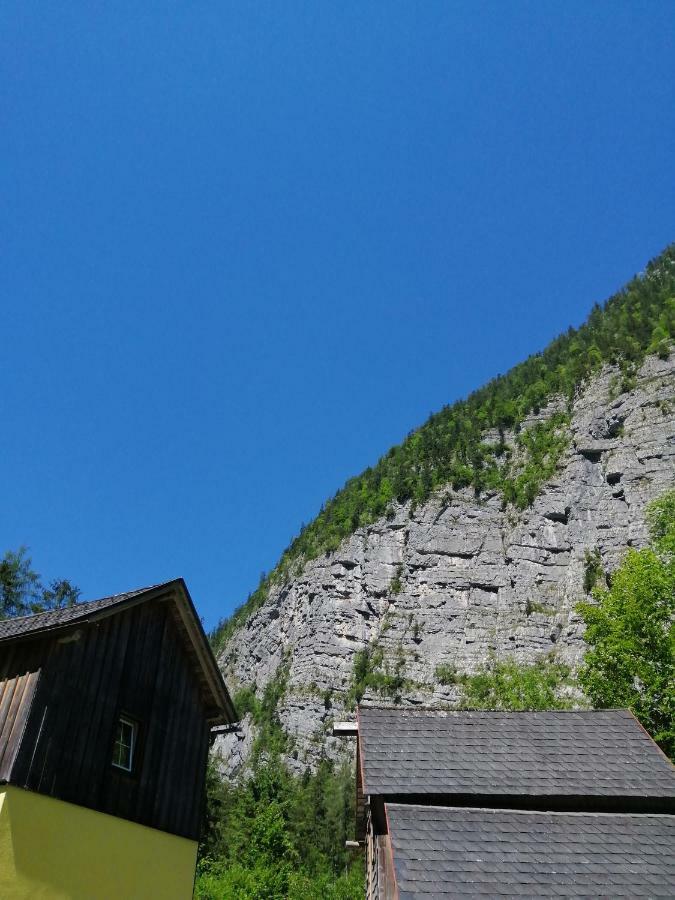Haus Waldbach Villa Hallstatt Dış mekan fotoğraf